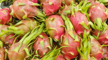 dragon fruitの写真素材