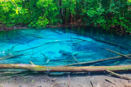 blue water pool sramorakod at province south krabi thailandの写真素材
