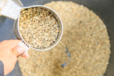 fresh coffee beans