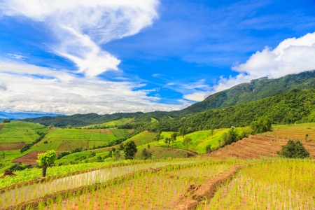 blue sky with rice of top view mountainの写真素材