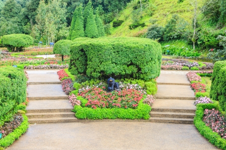 green plant of natural environmentの写真素材