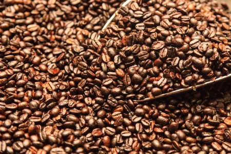coffee beanの写真素材