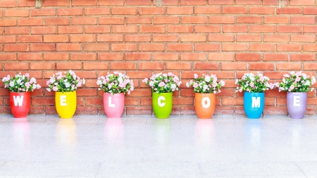 welcome vase flower color の写真素材