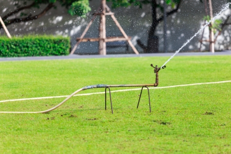 Water Sprinklerの写真素材