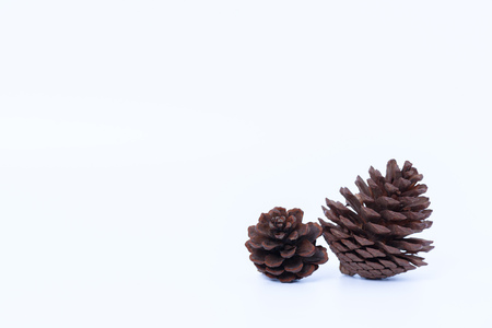 pine cone isolated on white background for Christmas decorationの写真素材
