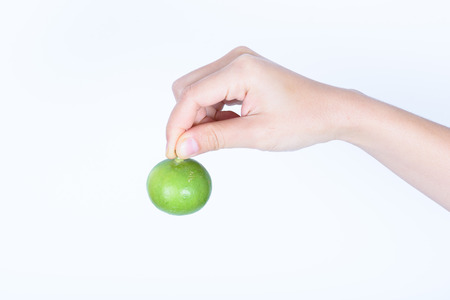hand holding lime isolated on white backgroundの写真素材