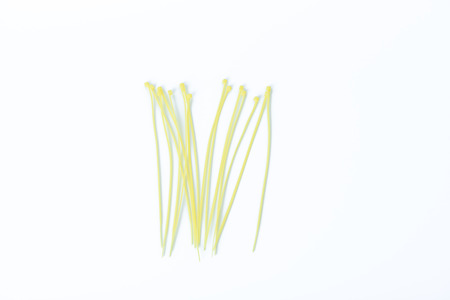 Cable Tie on white backgroundの写真素材