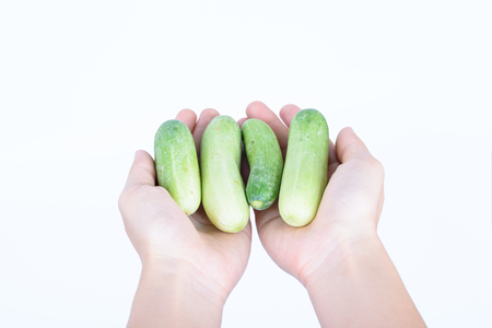 hand holding Cucumber  isolated on white backgroundの写真素材