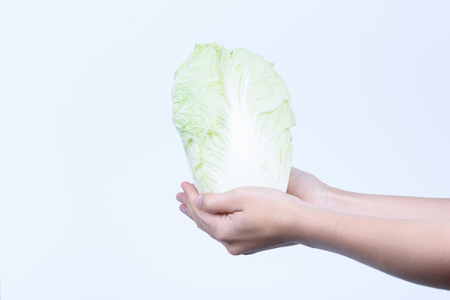 two hands holding Napa cabbage on white backgroundの写真素材