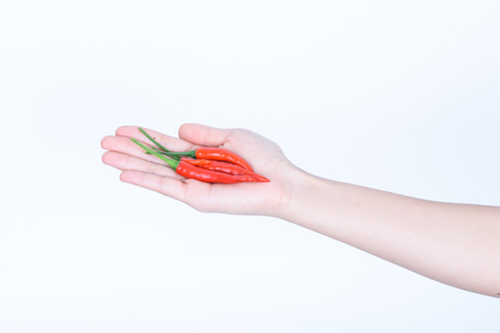 hand holding Red chili pepper isolated on a white backgroundの写真素材