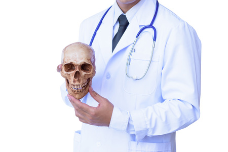 Doctor check human skull in his hands and point to the skullの写真素材