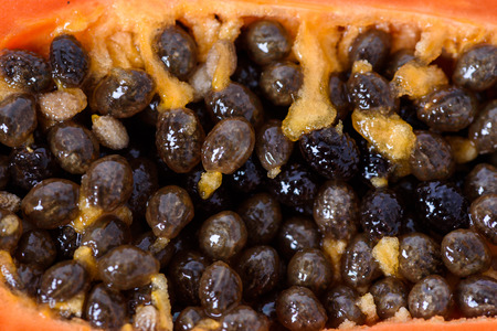 seed ripe papaya on white backgroundの写真素材