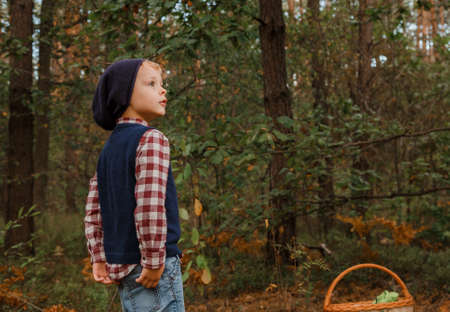 A boy in stylish clothes walks in the woods. Child in the autumn forest. A boy in a checkered shirt...