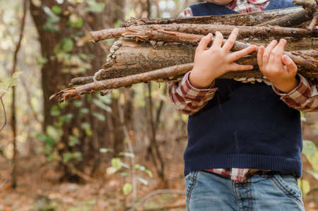 A child collects firewood in the forest. Little lumberjack. The boy is looking for old tree...