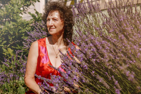 Senior woman sitting on the lawn near the bushes of lavender. Senior woman alone. Woman and the lavander. Stara Oraneria, an old orangery in Lazienki Park in Warsaw.の写真素材