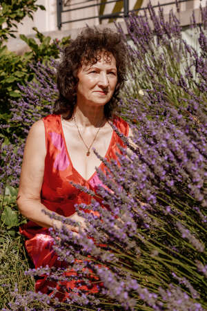 Senior woman sitting on the lawn near the bushes of lavender. Senior woman alone. Woman and the lavander. Stara Oraneria, an old orangery in Lazienki Park in Warsaw.の写真素材