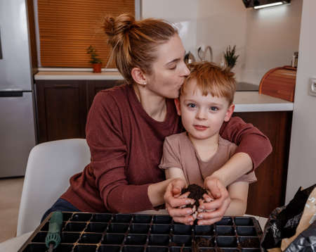 Female hands plant eco vegetable seeds. Young mother and son playing with dirt prepared for seeds. a child cares for plants, a home garden. Mother with little son cultivating plants at home. Eco.の写真素材