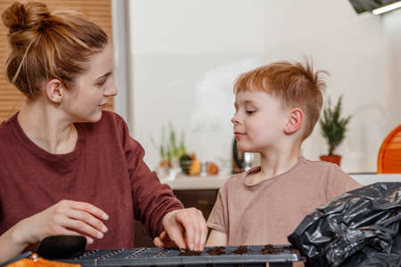 Female hands plant eco vegetable seeds. Young mother and son playing with dirt prepared for seeds. a child cares for plants, a home garden. Mother with little son cultivating plants at home. Eco.の写真素材