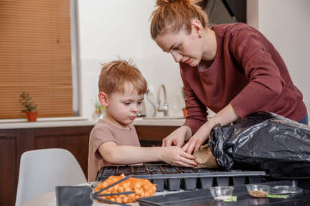 Female hands plant eco vegetable seeds. Young mother and son playing with dirt prepared for seeds. a child cares for plants, a home garden. Mother with little son cultivating plants at home. Eco.の写真素材