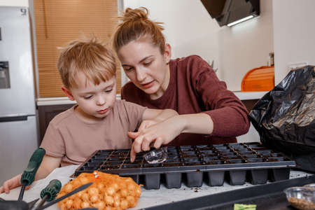 Female hands plant eco vegetable seeds. Young mother and son playing with dirt prepared for seeds. a child cares for plants, a home garden. Mother with little son cultivating plants at home. Eco.の写真素材