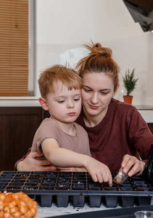 Female hands plant eco vegetable seeds. Young mother and son playing with dirt prepared for seeds. a child cares for plants, a home garden. Mother with little son cultivating plants at home. Eco.の写真素材