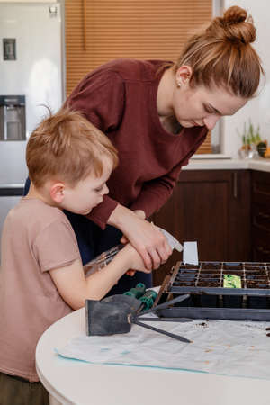 Female hands plant eco vegetable seeds. Young mother and son playing with dirt prepared for seeds. a child cares for plants, a home garden. Mother with little son cultivating plants at home. Eco.の写真素材