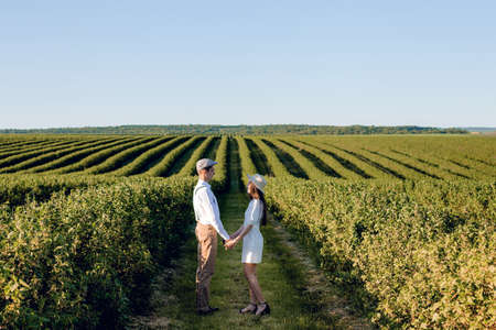 Couple holding hands and walking on green meadow. Romantic couple having fun in the field. A beautiful couple in the style. Love Story photohoot.の写真素材