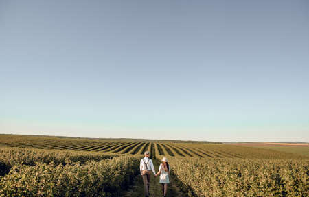 Couple holding hands and walking on green meadow. Romantic couple having fun in the field. A beautiful couple in the style. Love Story photohoot.の写真素材