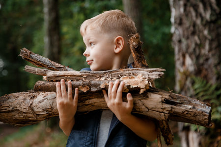 A child collects firewood in the forest. Little lumberjack. The boy is looking for old tree branches. Child and firewood. Autumn time.の写真素材
