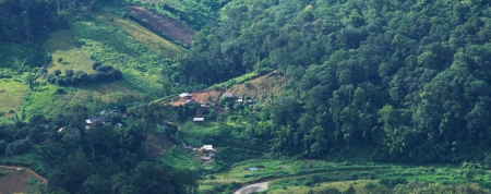 Moutain with huts and forestの写真素材