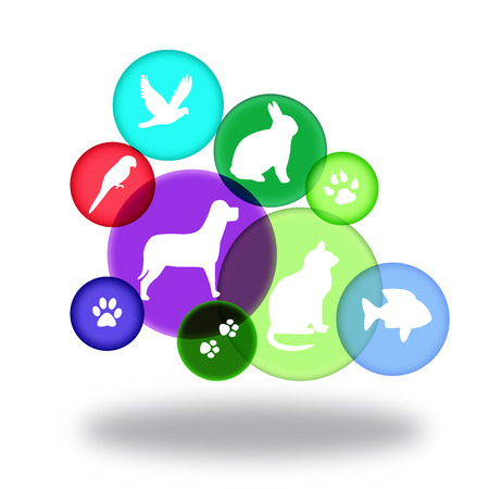 Pets.の写真素材