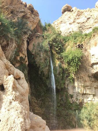 Waterfallの写真素材