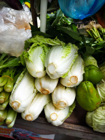 Fresh cabbage vegetables, can be eaten directly, or cooked and made into a delicious soup, the vegetables are below from the market and sold by vendors in Jakarta, Indonesiaの写真素材