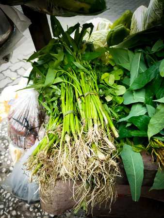 Fresh water spinach vegetables, delicious when stir-fried, the vegetables are below from the market and sold by mobile vendors in Jakarta, Indonesiaの写真素材