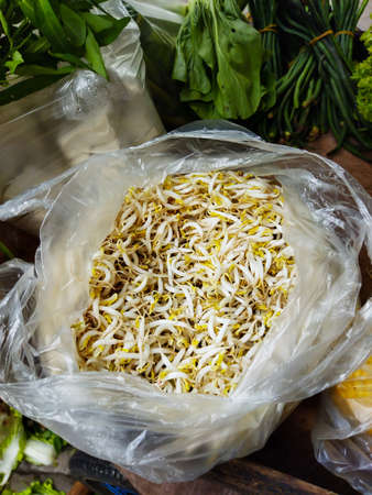 Fresh bean sprouts are below from the market and are sold by mobile vendors in Jakarta, Indonesiaの写真素材