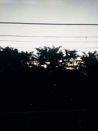 A warm orange sunset behind the tree, the horizon looks beautiful.の写真素材