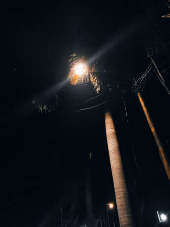 street lights at night, very helpful when passing through dark streetsの写真素材