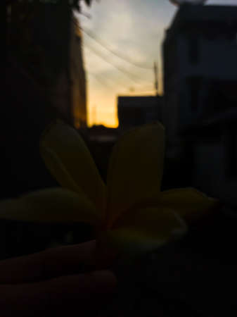 Beautiful sunset in the hallways of people's houses.の写真素材
