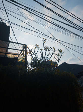 Blue sky and beautiful sun between the wiresの写真素材