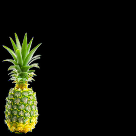 Single Pineapple Isolated on Transparent Backgroundの素材