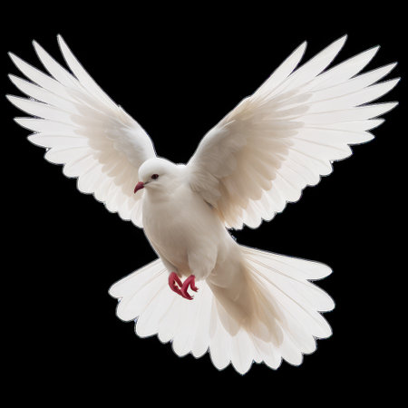 White Dove Flying with Wings Spread Isolated on Transparent Backgroundの素材