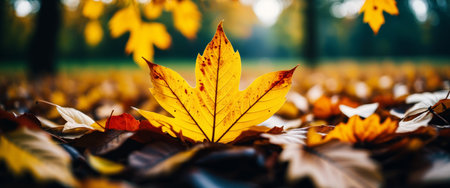 Golden autumn leaf on forest floor captures nature's vibrant transition.の素材