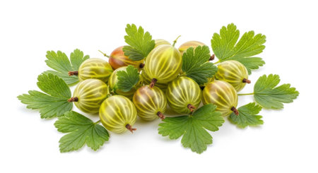 Fresh gooseberries with leaves on white background, close-up healthy fruit concept.の素材