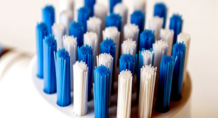 Close up of toothbrushes in a dental clinic. Dentistry concept.の素材