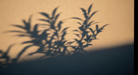 a plant shadow on a textured wall creates a minimalist and aesthetic nature inspired background design elementの素材