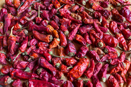 Dried red Cayenne peppers- food background.の写真素材