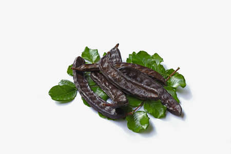 Goat horn, carob (Ceratonia siliqua) and crocus on white background.