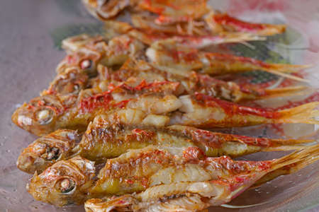 Mullus barbatus / mullet fish grill