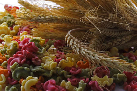 Colored pasta with spinach, eggs, tomatoes and pepper