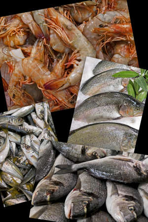 Fresh fish and fresh shrimpの写真素材